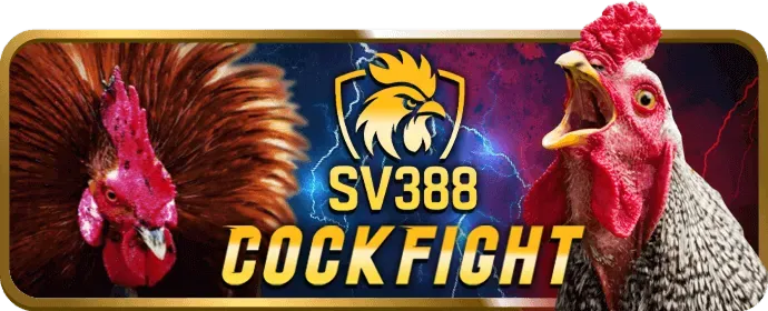 Hoàn trả cược cao 5699win nổ hũ